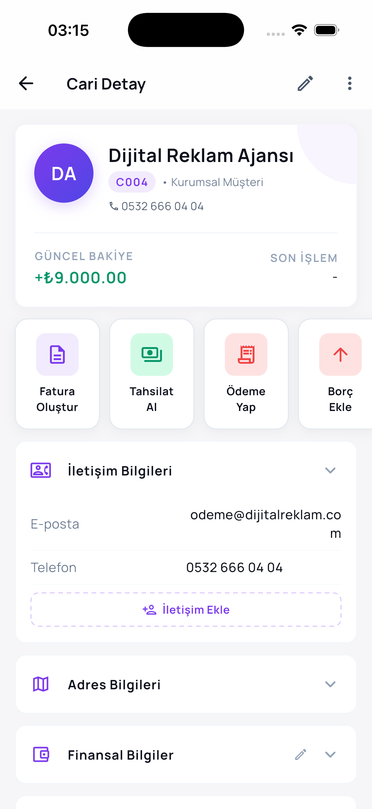 Cari detay ekranı