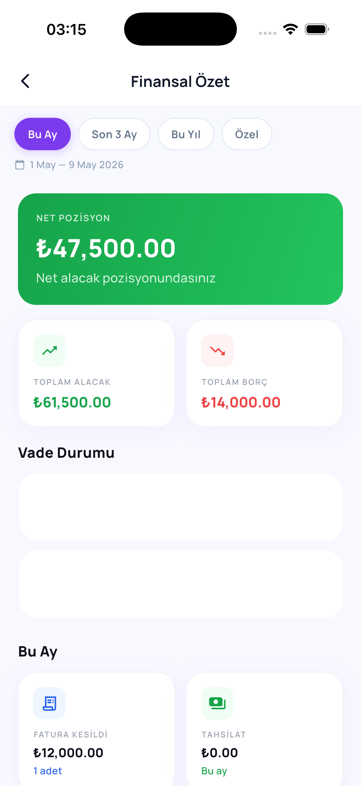 Finansal Özet raporu